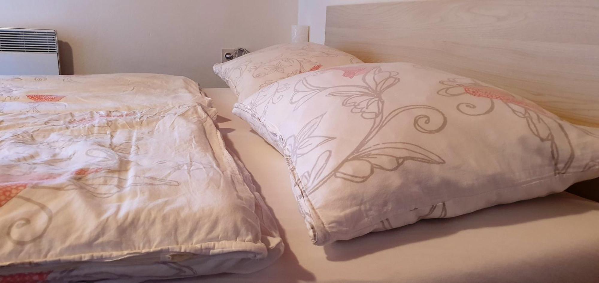 Apartments And Rooms Milena 克拉尼斯卡戈拉 客房 照片