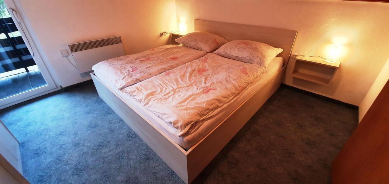 Apartments And Rooms Milena 克拉尼斯卡戈拉 外观 照片